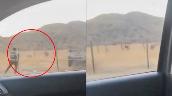 Carabineros se enfrentó a balazos contra delincuentes en Chicureo: Habrían efectuado robos en el sector