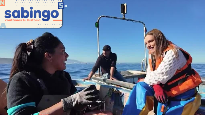 Mujeres De Mar: Emilia Daiber conoció la historia de Carol y su vida como pescadora artesanal