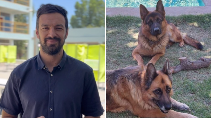 Alcalde Vodanovic acusó que perros de su familia fueron envenenados