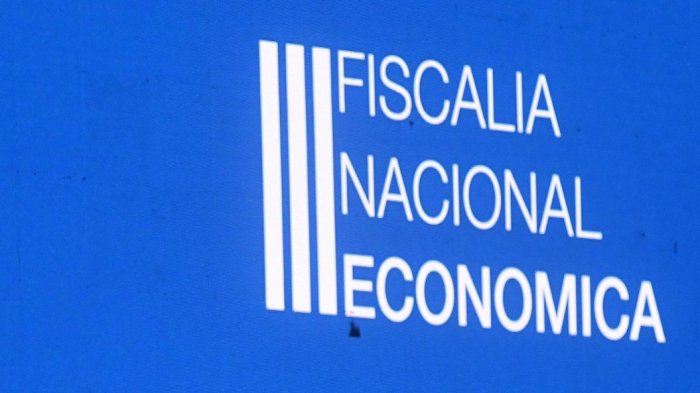 FNE denuncia por colusión a dos empresas de gas industrial y medicinal: Habrían operado en pandemia