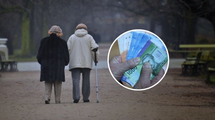 Bono Invierno 2024: Consulta con tu RUT acá si puedes recibir los $77.982 en mayo