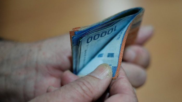 Bono Marzo 2024: Consulta con tu RUT si tienes pagos pendientes del Aporte Familiar Permanente