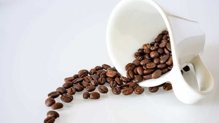 Sernac advierte falsificación de reconocida marca de café: Así puedes reconocer el producto