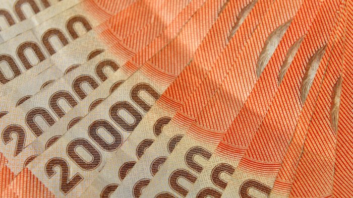 Estado entrega bono de hasta $432 mil a jefas de hogar: Consulta ACÁ con tu RUT si lo recibes