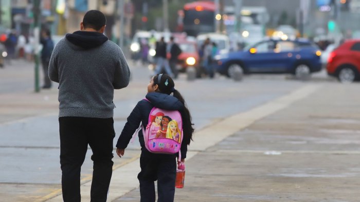 Investigan caso de meningitis en estudiante de colegio en Viña del Mar