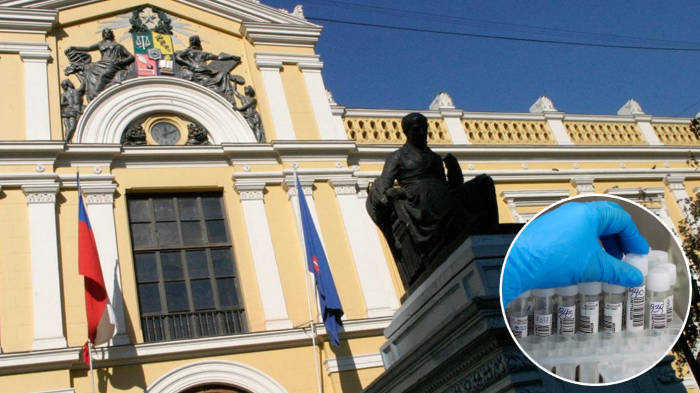 Científicos chilenos logran importante avance para entender comportamiento de bacteria