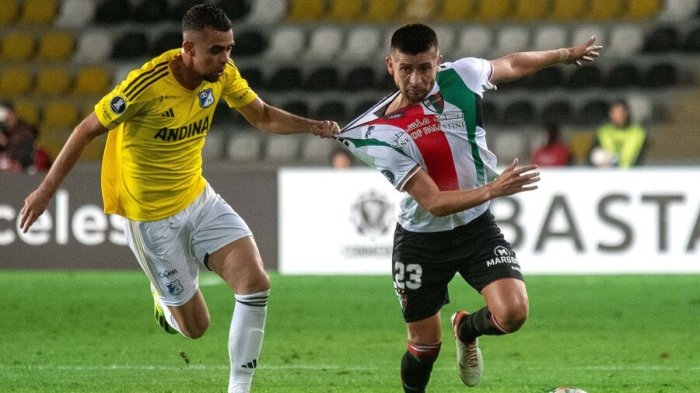 Palestino vs Millonarios: Horario y dónde ver EN VIVO el partido por Copa Libertadores