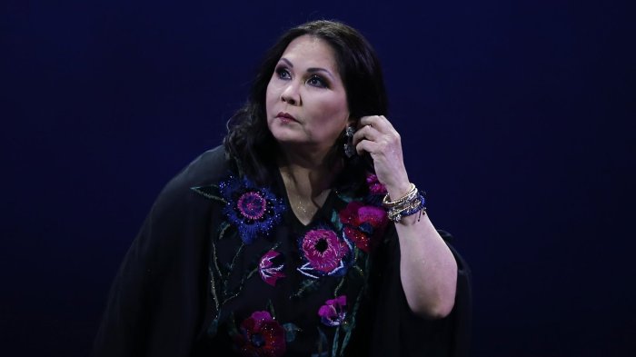 Preocupación por Ana Gabriel: Contrajo “cuadro severo de influenza” y postergó concierto en Chile