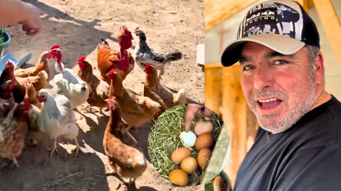 Rodrigo Villegas expuso desconocida y curiosa afición en el campo: 