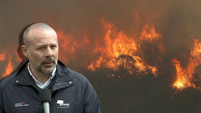 Ex director de Senapred responsabiliza a Conaf por megaincendio en Valparaíso: “No avisaron”