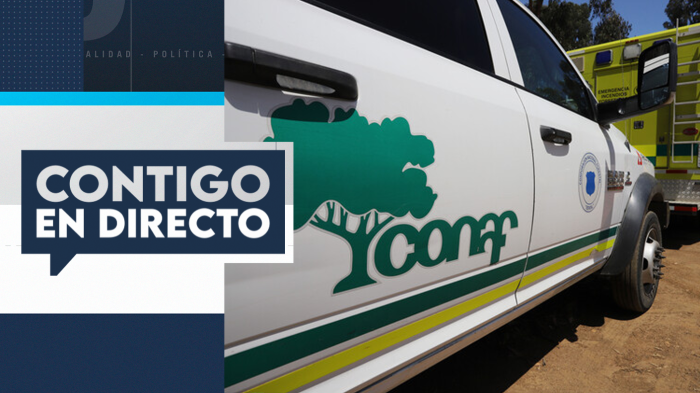 Robo en oficinas de Conaf tras detención de ex brigadista: Sustrajeron documentos y computadores