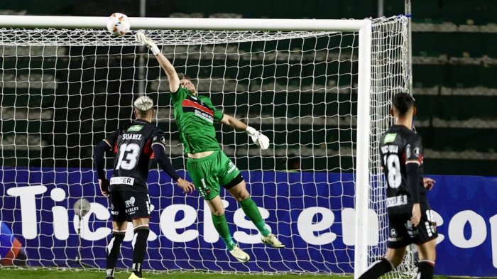 Tabla de posiciones Copa Libertadores: Palestino quedó tercero y jugará la Sudamericana
