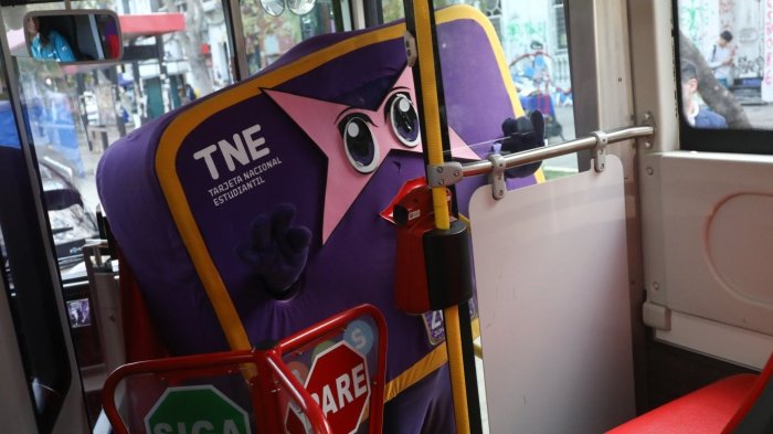 120 mil estudiantes aún no revalidan la TNE: Revisa acá cómo hacerlo