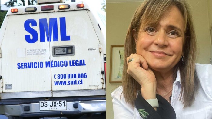 SML anuncia sumario tras cuestionado peritaje de Jacqueline van Rysselberghe en causa por DD.HH.