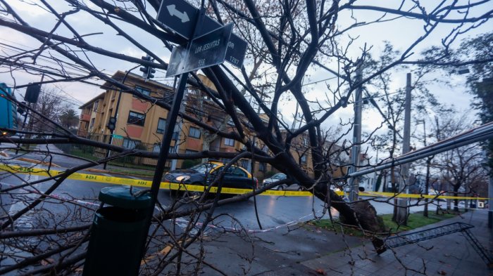 Anuncian llegada de “extraordinario y gigantesco” ciclón a Chile: Estas serían las regiones afectadas