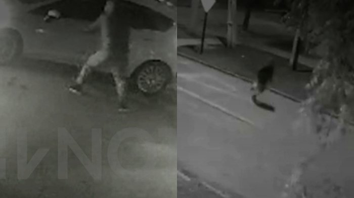 Imágenes exclusivas del robo a PDI que terminó con un delincuente muerto: Sujetos se mantienen prófugos