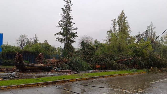 ¿Cuándo llegaría el “extraordinario y gigantesco” ciclón a Chile? Estos podrían ser sus efectos