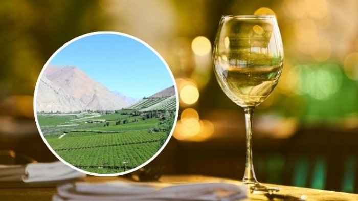 ¿Qué es el pajarete? El licor chileno que abrió particular debate entre el gobierno y el Congreso