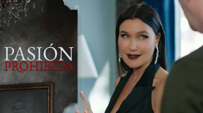 Ender quiere una alianza con Engin | Adelanto pasión Prohibida | Capítulo 347