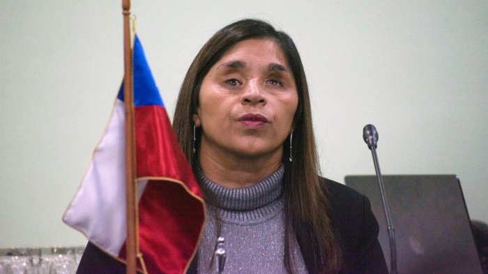 Senadora Campillai no asistirá a la Cuenta Pública: “Me siento decepcionada de este gobierno”