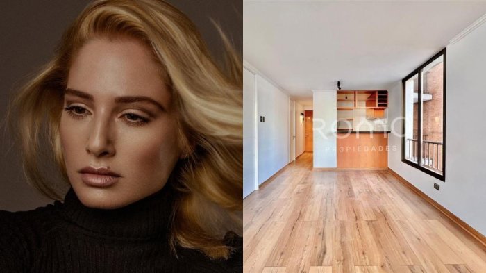 Así es el departamento que Mane Swett puso a la venta en el centro de Santiago