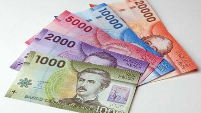 No lo cobraste: Así puedes revisar con tu RUT si tienes BONOS PENDIENTES de pago