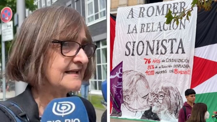 Rosa Devés respondió a polémico lienzo en U. de Chile: “No es la forma de expresar las ideas”