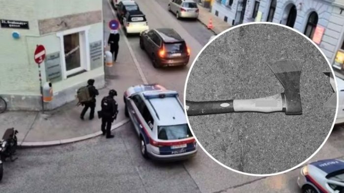 Joven chilena fue asesinada con un hacha en Austria: Compañero vio el ataque por videollamada