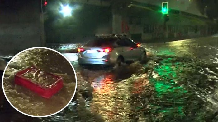 Colapso total en Avenida Lo Ovalle: Maletas y alfombras obstruyen alcantarillas