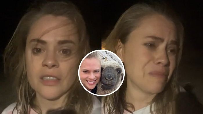 “No lo maten”: Eliana Albasetti hizo desesperado llamado tras robo de su cordero en santuario