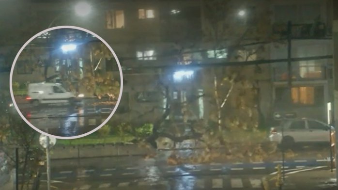 Por centímetros: Video muestra milagrosa salvada de conductor tras caída de árbol en Providencia