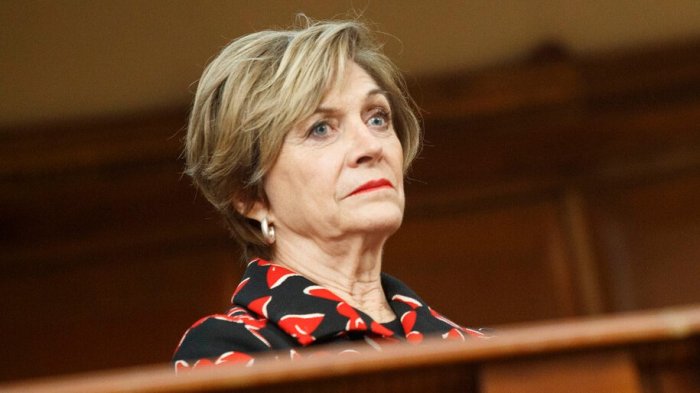 Matthei se querelló contra presuntos responsables de rociar bencina a director de Liceo Lastarria