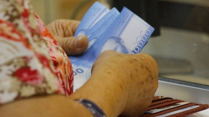 Bono Invierno 2024: ¿Dónde consultar con mi RUT si recibí el pago?