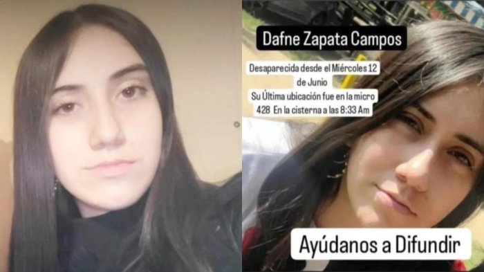 Mamá de escolar desaparecida en La Cisterna reveló alarmante teoría: ”Quizá le fue mal y está ahora...”