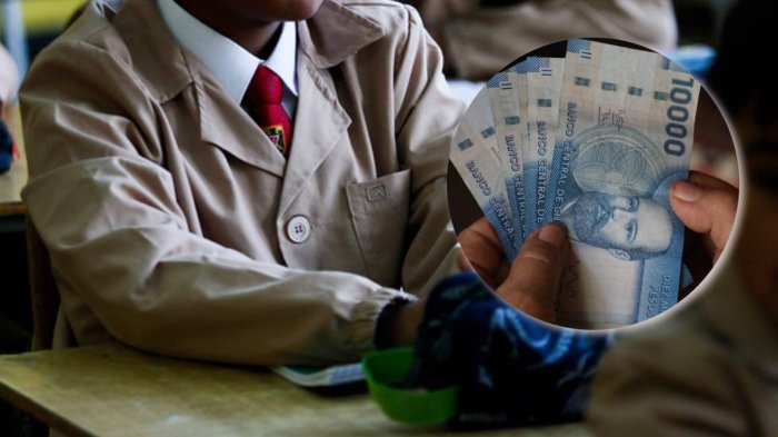 Bono Logro Escolar 2024: Consulta con el RUT si tu hijo recibirá los $78 mil