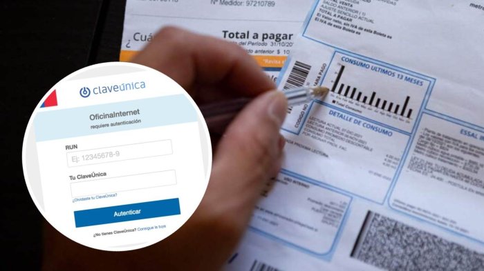 Subsidio Eléctrico: Así puedes cambiar tu ClaveÚnica para postular al descuento en la cuenta de luz