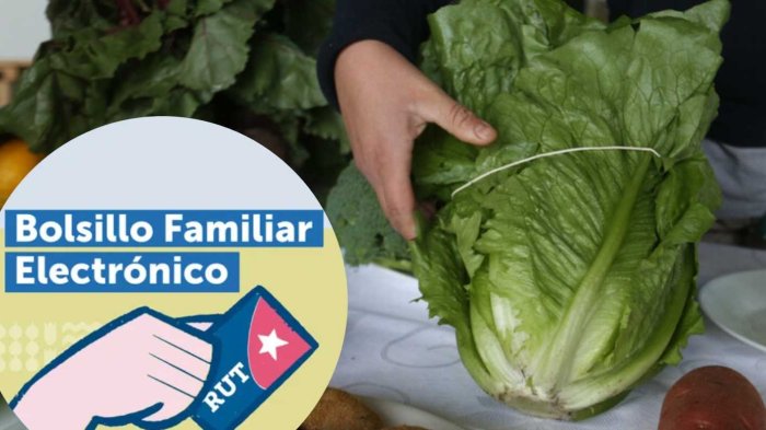 Bolsillo Familiar Electrónico: Revisa la fecha en que volvería el beneficio extendido