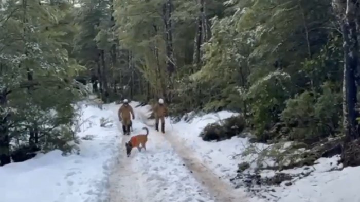 Condiciones climáticas adversas complican búsqueda de hombre extraviado hace 15 días en el Parque Nacional Villarrica