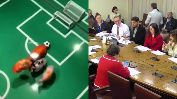 “Han aprendido a jugar fútbol”: El insólito debate por “peces sintientes” en reforma a la Ley de Pesca