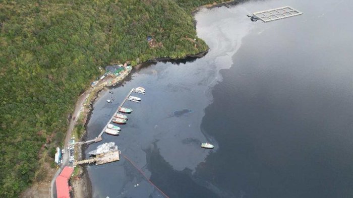 PDI inicia investigación por masivo derrame de petróleo en Puerto Chacabuco
