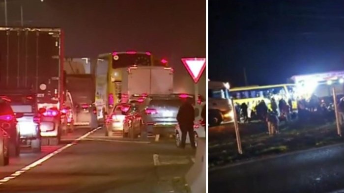 Paine: Accidente entre bus de pasajeros y camión de encomiendas deja dos fallecidos en Ruta 5 Sur