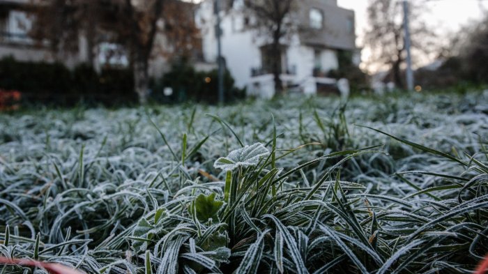 Emiten aviso por heladas de hasta -6°: Revisa a qué ciudades afectará la 