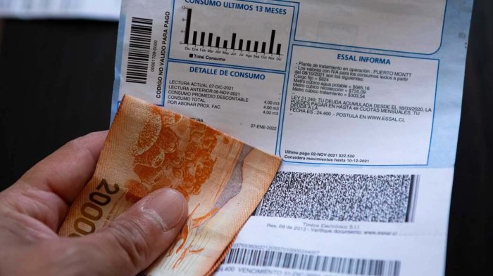 ¿Cómo puedo pagar la cuenta de luz con el Bolsillo Familiar Electrónico reactivado?