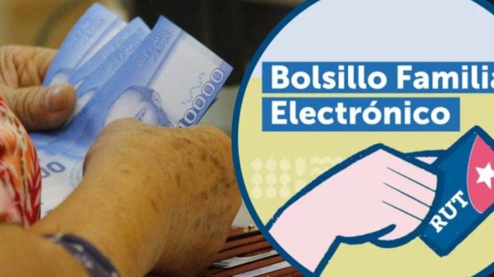 Bolsillo Familiar Electrónico ya es ley: Cuándo lo pagan y cuál es el cambio que incluye
