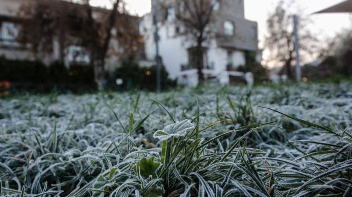 ¡Temperaturas bajo cero! Revisa aquí la proyección del frío polar para este fin de semana
