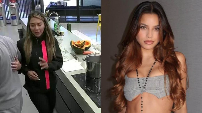 ”Me escribió celosa”: La Chama desclasificó desconocido episodio de celos con Emilia Mernes en Gran Hermano Chile