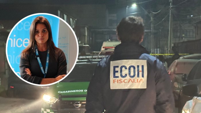 Unicef pidió a Chile adoptar 