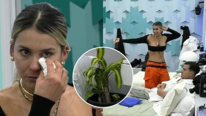 Carlyn Romero rompió en llanto tras su primera “pelea” en Gran Hermano: “No soy monedita de oro”