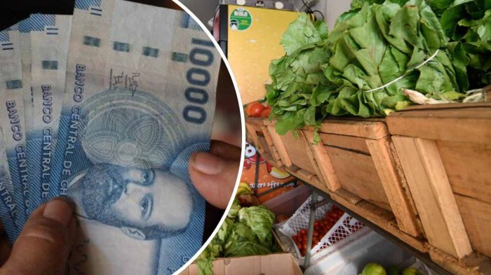 Bolsillo Familiar Electrónico: Revisa aquí la fecha confirmada del primer pago de la transferencia