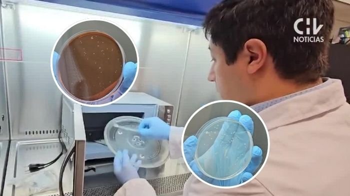 De hongos a coliformes: Esto puede pasar con tu comida (y salud) si no limpias bien el microondas